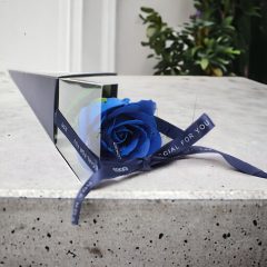 Egy szál szappanvirág - Kék Rózsa